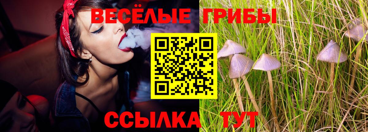 Галлюциногенные грибы Magic Shrooms  Вход с VPN  Красный Сулин  Псилоцибиновые грибы GOLDEN TEACHER 